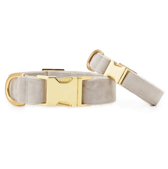 Velvet best sale puppy collar