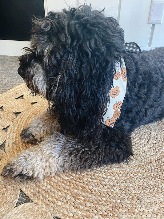 Pumpkin Patch Dog Bandana (Reversible)